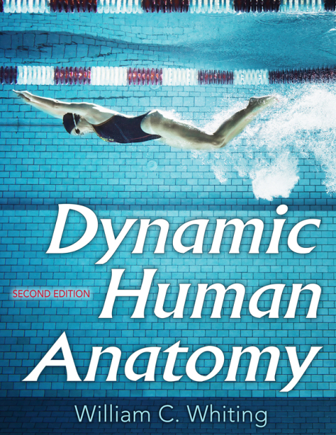 Dynamic Human Anatomy